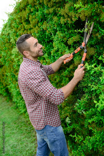 handsome young man gardener trimming and landscaping green bushes