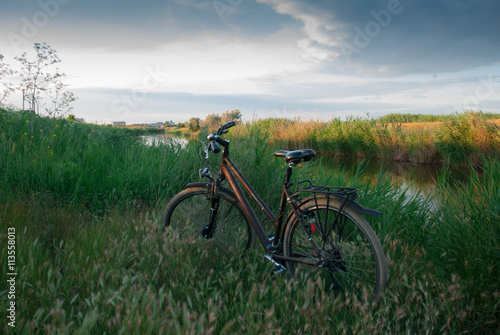 Fototapeta Naklejka Na Ścianę i Meble -  Велосипед лето отдых на траве