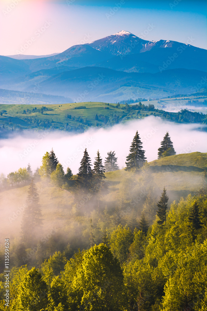 Fototapeta premium Early morning in a foggy valley