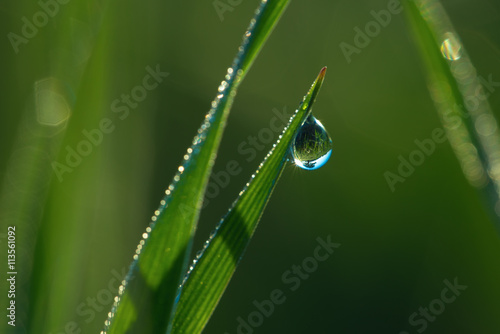 Macro of dew drop with landscape reflection
