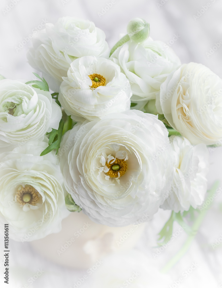 Fresh ranunculus Fresh ranunculus