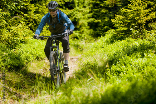 Man on mountain bike rides on trail in the forest.