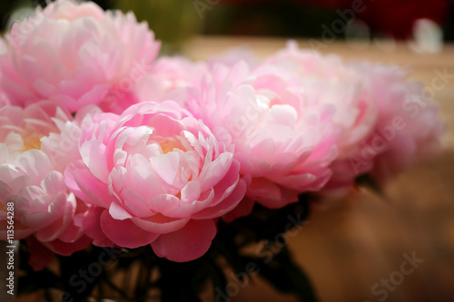 Retro photo beautiful peonies