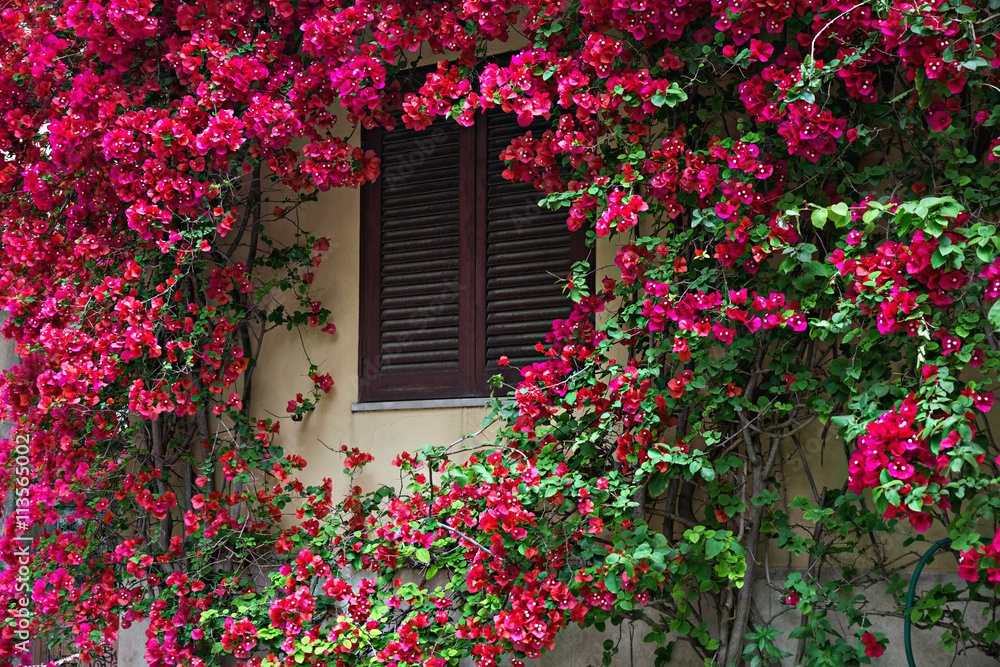 Italian Windows with shutters Italian Windows with shutters