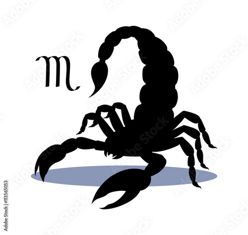 Silhouette of dangerous insect scorpion isolated on white background, detailed spider, astrological icon Scorpio. The symbol of the month of November on the calendar.