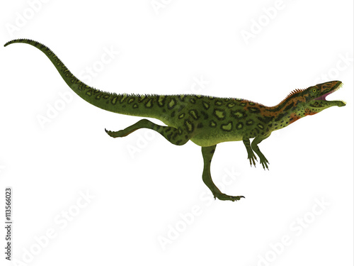 Masiakasaurus Side Profile - Masiakasaurus was a theropod dinosaur that lived in Madagascar during the Cretaceous period. © Catmando