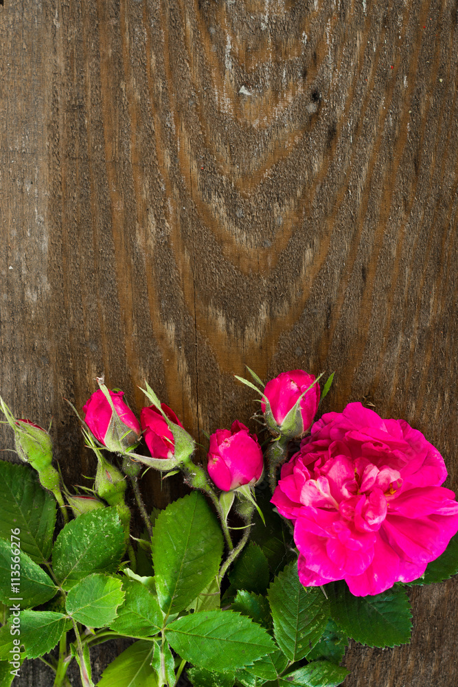 roses lie on a wooden surface for decoration