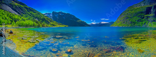 Panorama of a Norwegian fjord