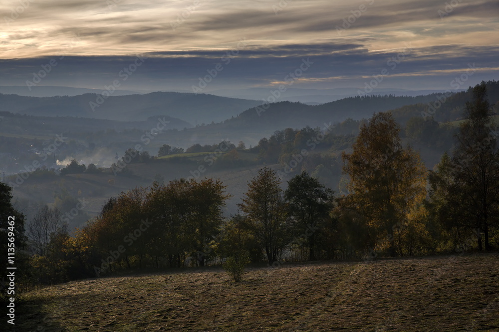 panorama view fog forest