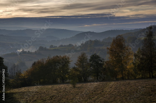 Obraz na płótnie panorama view fog forest w salonie