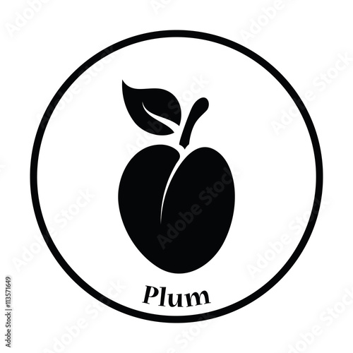 Icon of Plum