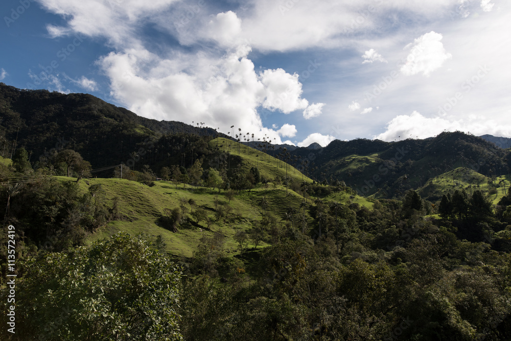 Wanderlust in Colombia's Valle de Cocora