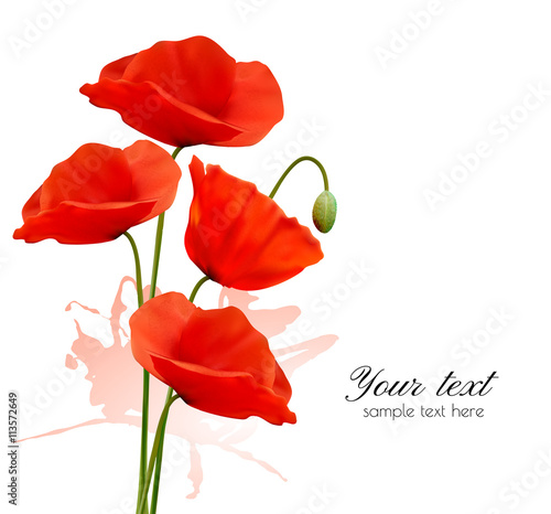 Fototapeta Naklejka Na Ścianę i Meble -  Nature summer background with red poppies. Vector.