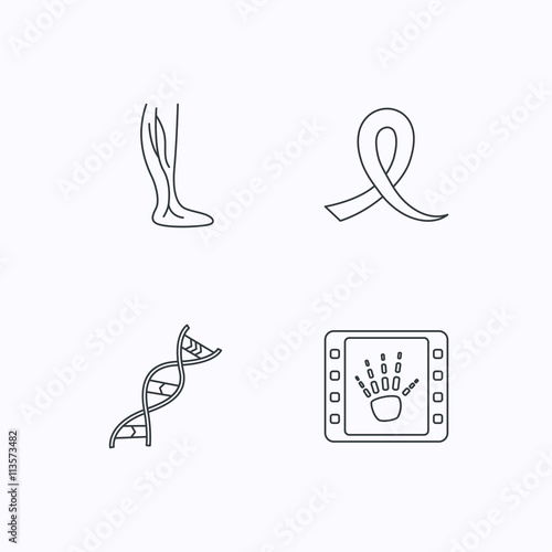 Phlebology, DNA and X-ray icons.