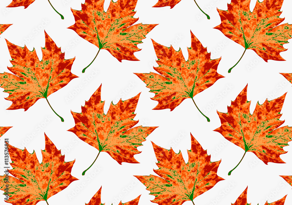 Artistic color brushed maple leaves Artistic color brushed maple leaves