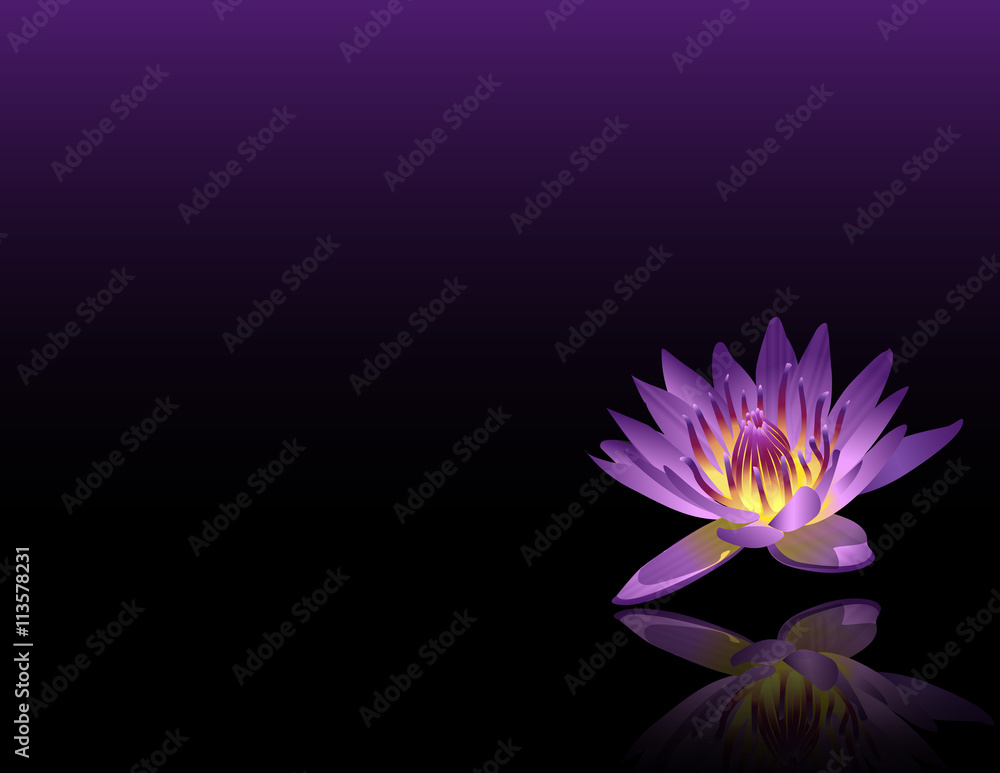 Purple Lotus Reiki Chakra Flower