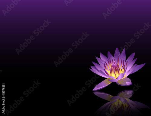 Purple Lotus Reiki Chakra Flower