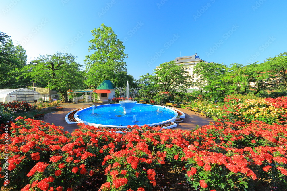 Obraz premium 花巻温泉 バラ園