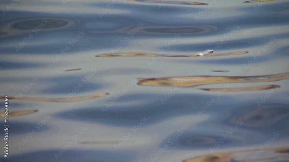 Water surface of a river with white little pen in summer evening. Water surface of a river with white little pen in summer evening.