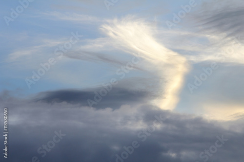 Abstract background of natural clouds in the sky shaped like poultry