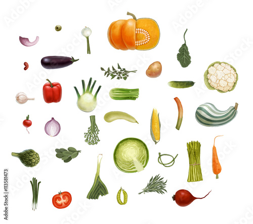 Hand-drawn vector vegetables, isolated on transparent background - tomato, spinach, vegetable marrow, corn, rosemary, green peas and beet olive eggplant salad onion leek, potato, carrot and so on