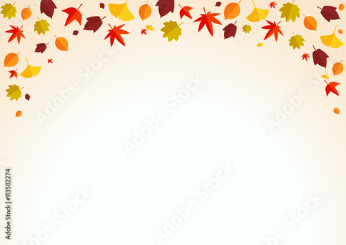 紅葉　落ち葉　背景
