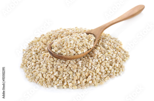 Uncooked barley grain seeds in wooden spoon and on white backgro