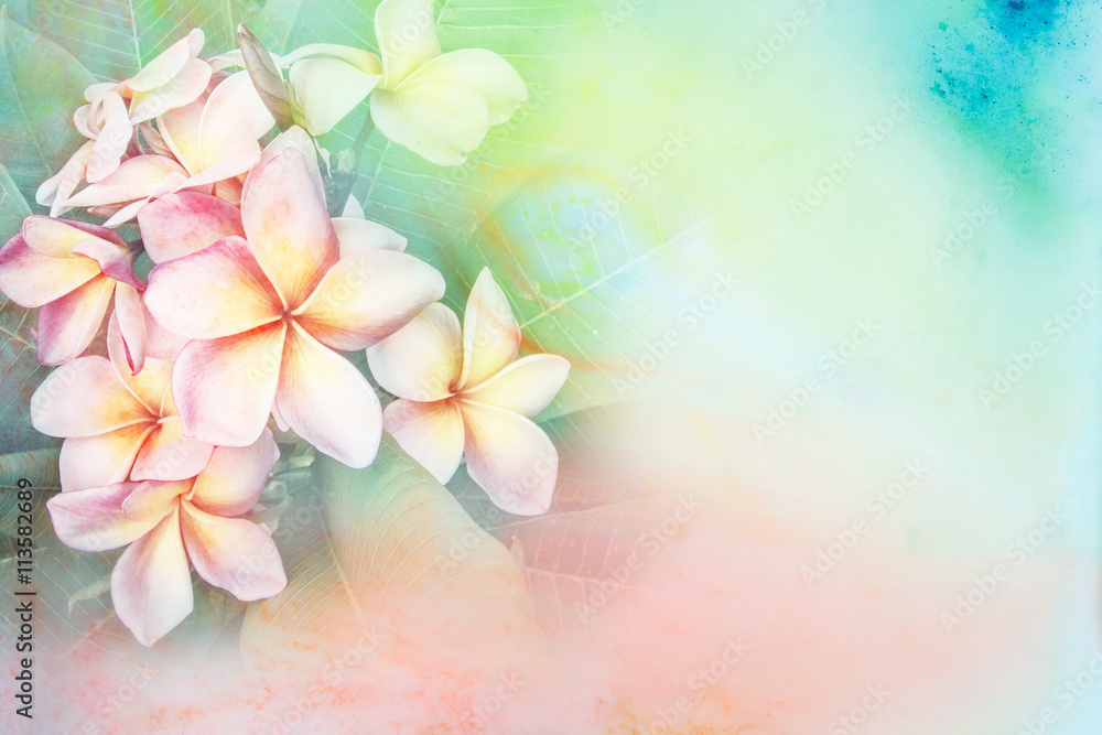 Flower watercolor illustration. Flower watercolor illustration.