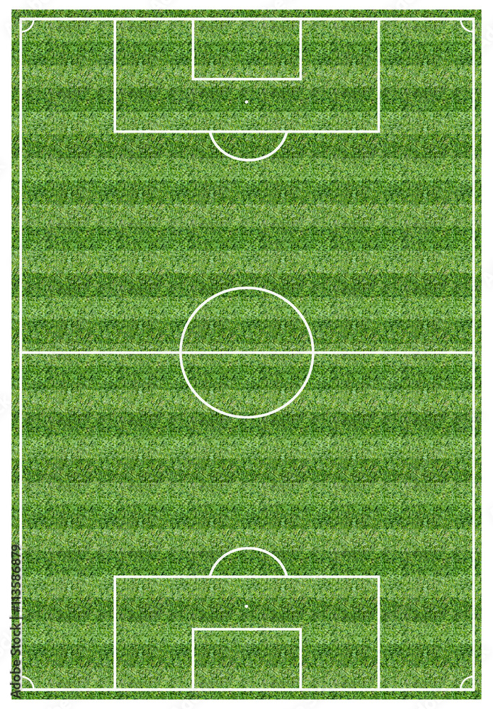 Fototapeta premium Football Field Narrow Horizontal Stripes Pattern with Real Grass Texture