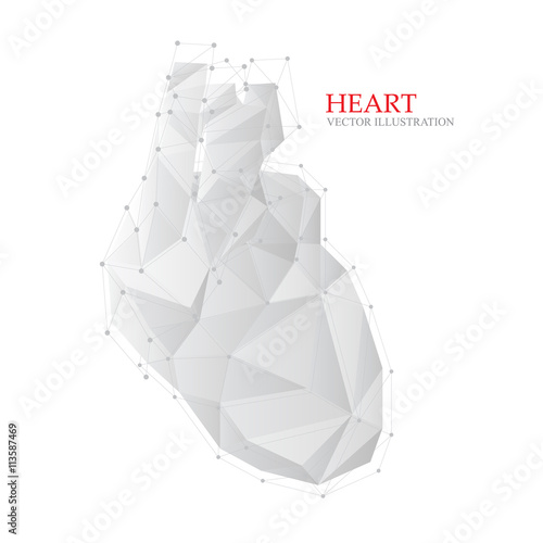 Abstract Illustration of human heart, vector.