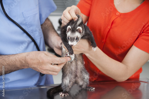 Male Vet Examining Weasel With Stethoscope Held By Woman