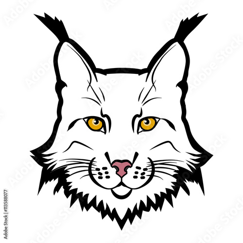 Lynx mascot logo. Head of lynx isolated vector illustration