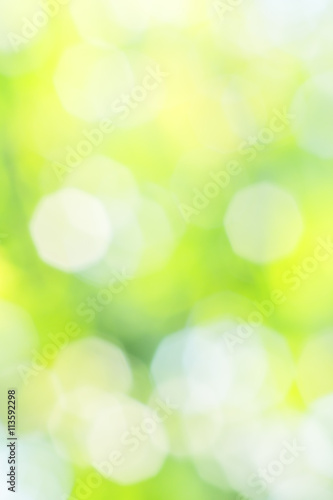 Abstract summer yellow, white and green background
