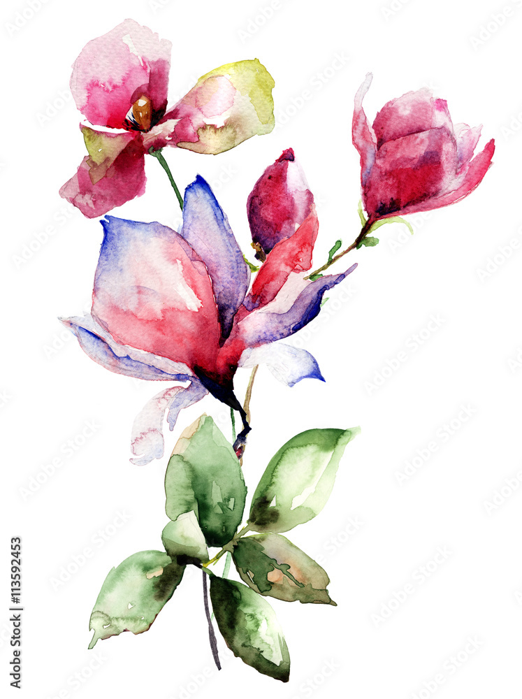 Poppy and Magnolia stylized flower