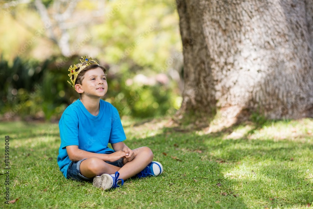 Young boy wearing a crown and sitting on grass Young boy wearing a crown and sitting on grass