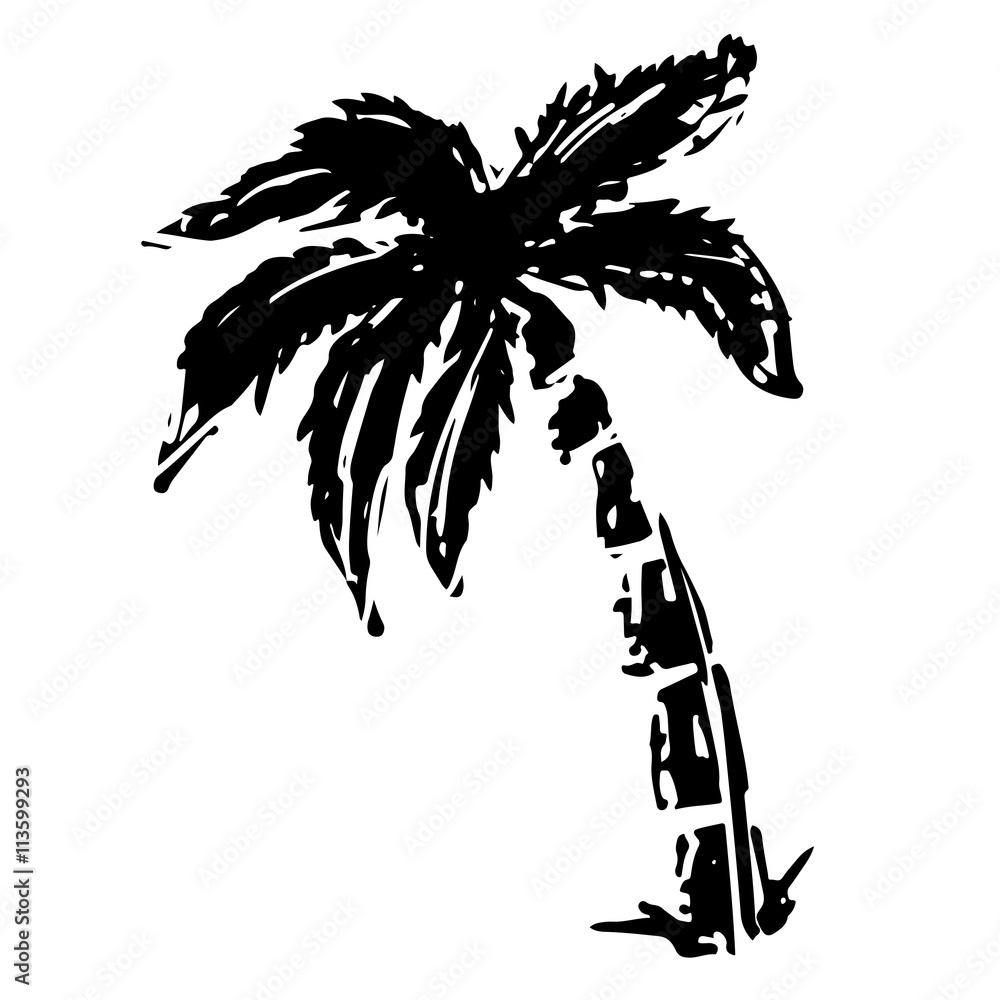 Naklejka premium Coconut palm tree black sketch drawing