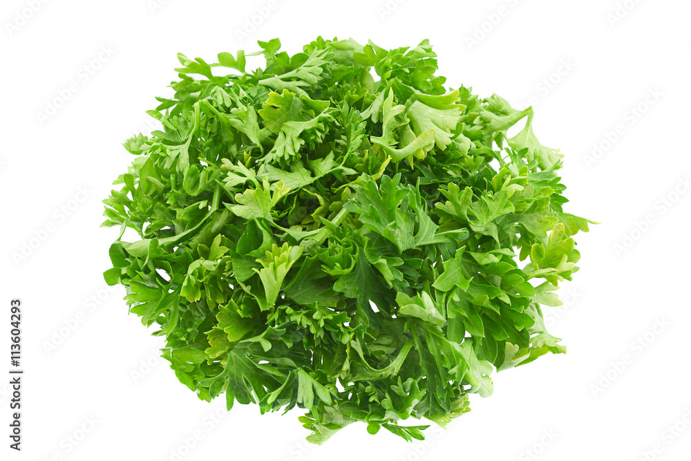 Obraz premium Parsley herb on white