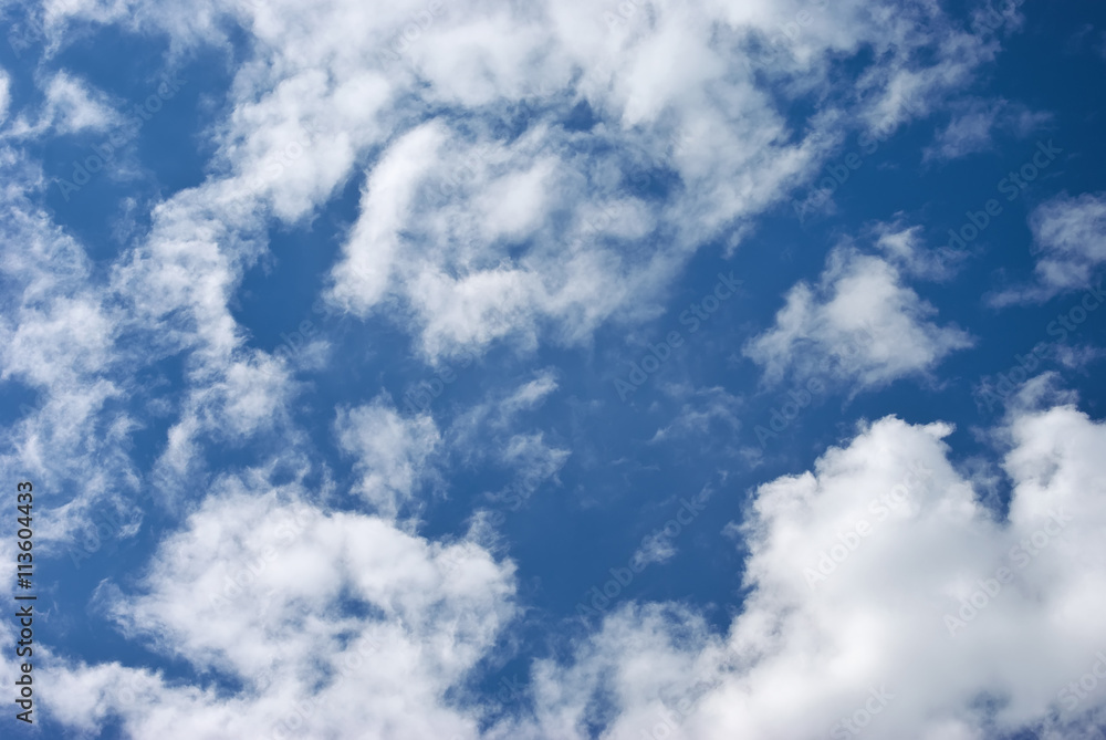 Fototapeta premium Deep blue sky at sunny day.