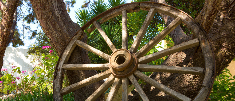 The old wooden wheel and tree.