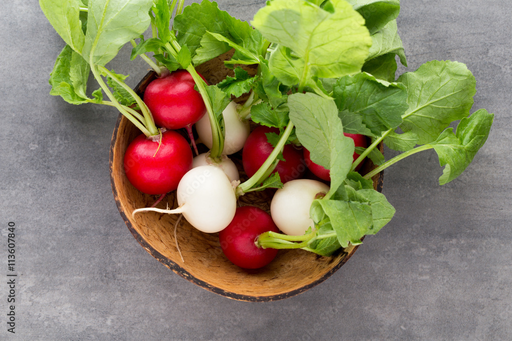 Radish fresh on the gray background. Radish fresh on the gray background.
