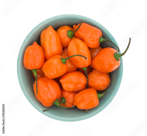 Orange habanero peppers in a bowl top view isolated on a white background.