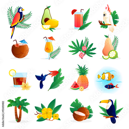 Tropical Icon Set