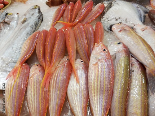 Photography Fischmarkt in Hongkong