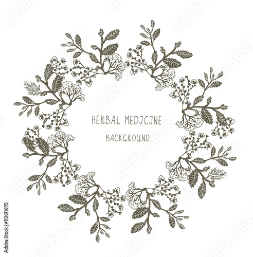 Herbal medicine label or frame  sketchy design with plants.