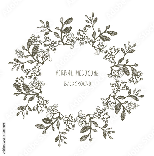 Herbal medicine label or frame, sketchy design with plants.