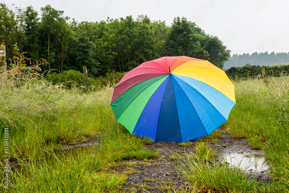 großer bunter Regenschirm in der Landschaft