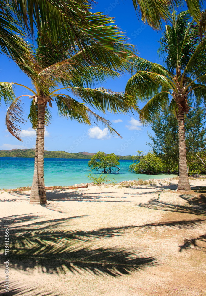 Palm tree and white sand beach on the tropical island. Philippines.
