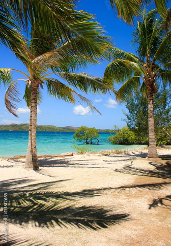 Palm tree and white sand beach on the tropical island. Philippines.