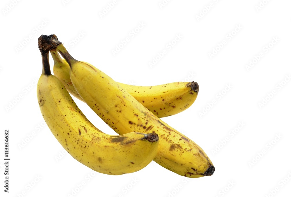 Three juicy ripe banana yellow with brown spots and dots to burst the skins - signs of maturity. Isolated on white background, closeup