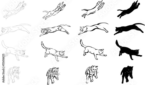 cat jump, different graphic options image
